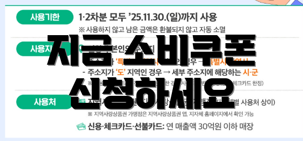 지금 소비쿠폰 신청하세요