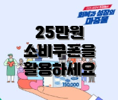 25만원 소비쿠폰을 활용하세요