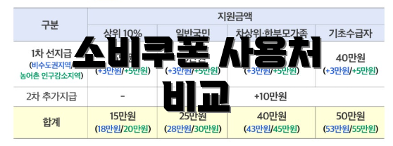 소비쿠폰 사용처 비교