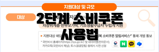 2단계 소비쿠폰 사용법