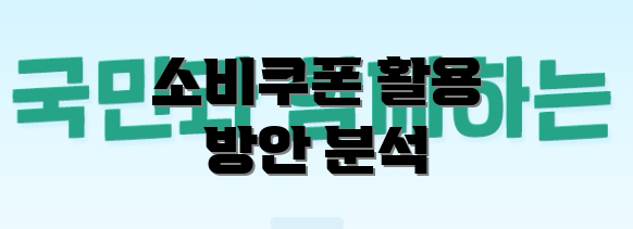 소비쿠폰 활용 방안 분석