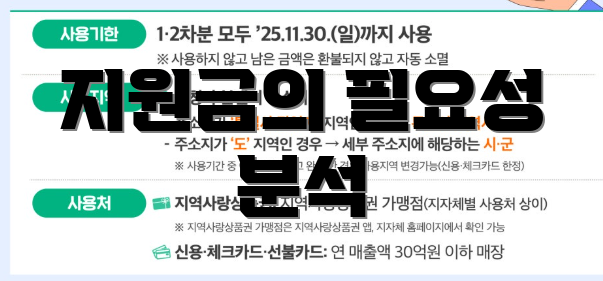 지원금의 필요성 분석