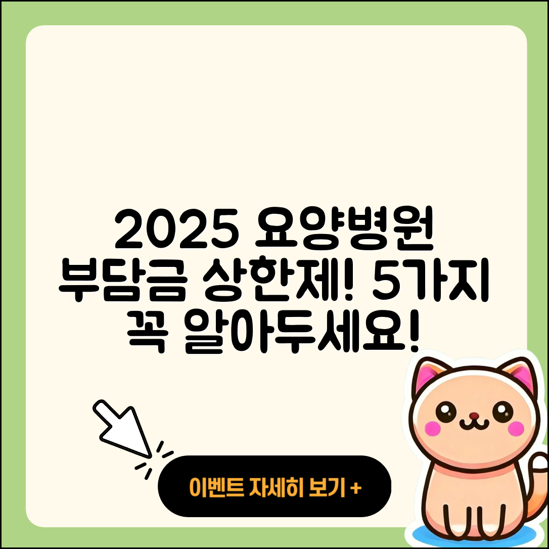 요양병원 본인부담금 비용 상한제 2025년 5가지 알려줘