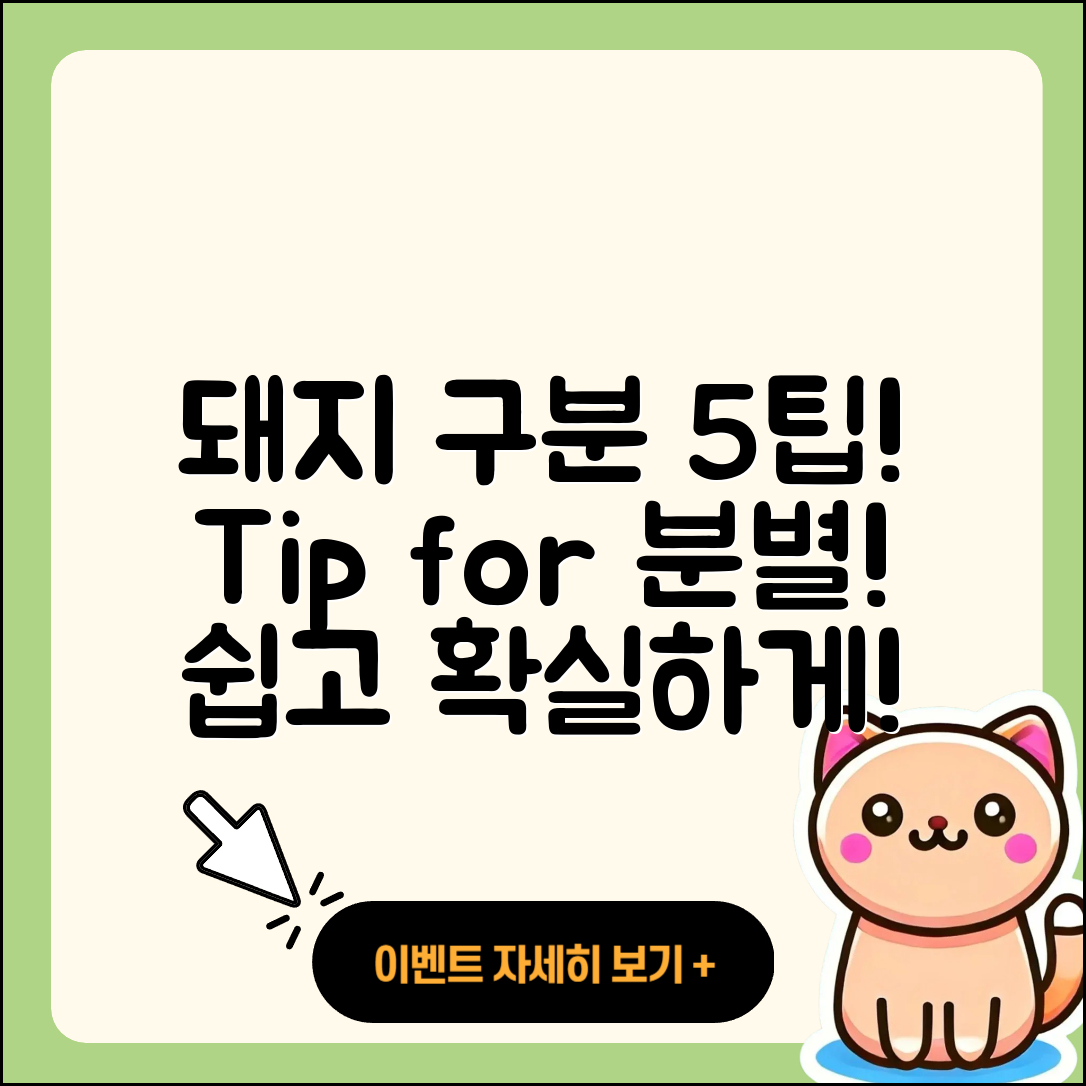 되지돼지 구분을 위한 5가지 팁
